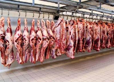 تداوم توزیع گوشت قرمز و منجمد در ایلام