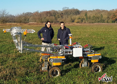 استفاده از ربات برای هرس علفهای هرز در مزارع انگلیس