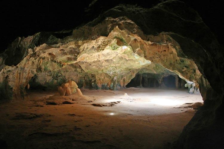 تخریب اکوسیستم غارها با حمل باکتری توسط گردشگران