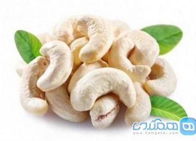 بادام هندی خام تامین کننده کدام ماده مغذی بدن است