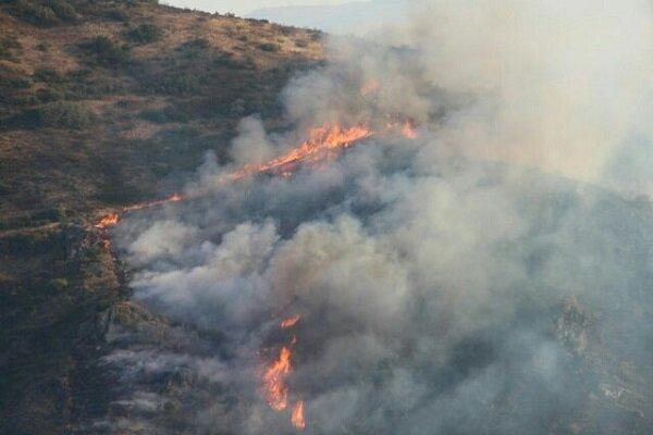افزایش 40 درصدی آتش سوزی اراضی ملی