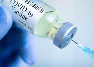 افزایش امیدها برای تایید واکسن کرونا تا خاتمه سال 2020
