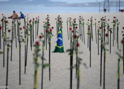 (ویدئو) اعتراض با گل رز در یادبود 500 هزار قربانی کرونا در برزیل