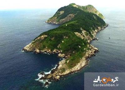 جزیره مارها؛ منطقه ای ممنوعه در برزیل