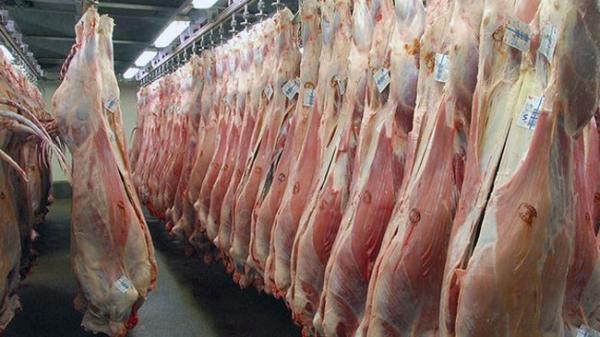 عرضه گوشت قرمز در کشتارگاه ها 49 درصد افزایش یافت