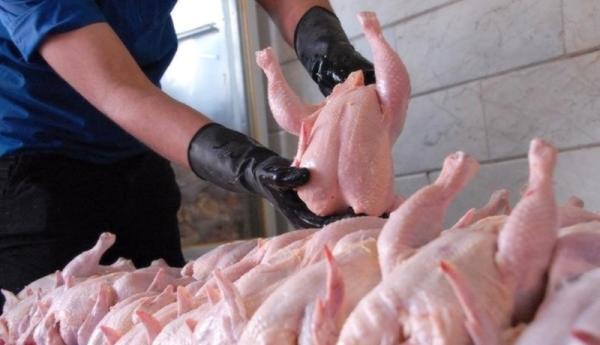 سلوکانه: مرغ های وارداتی تحت نظارت به بازار عرضه می گردد