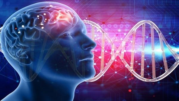 آیا هوش ژنتیکی است؟