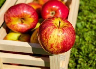 هرآنچه راجع روتین باید بدانیم