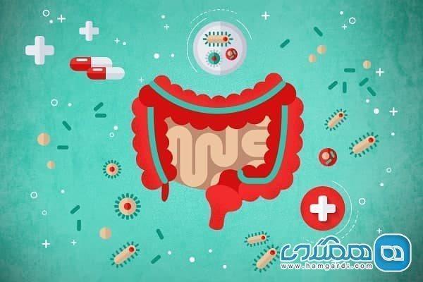 مکمل های پروبیوتیک و نکاتی درباره انتخاب آنها مکمل های پروبیوتیک و نکاتی درباره انتخاب آنها