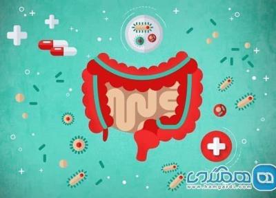 مکمل های پروبیوتیک و نکاتی درباره انتخاب آنها